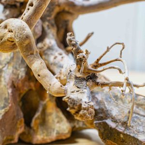 Projetos sem plantas