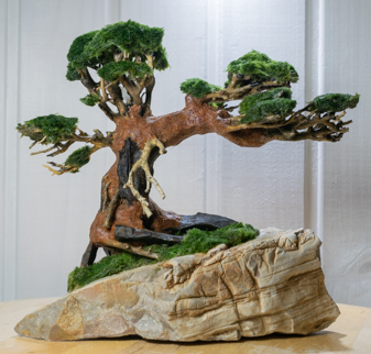 aquascape_bonsai_design