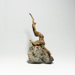 Hardscape amelia rock and red root