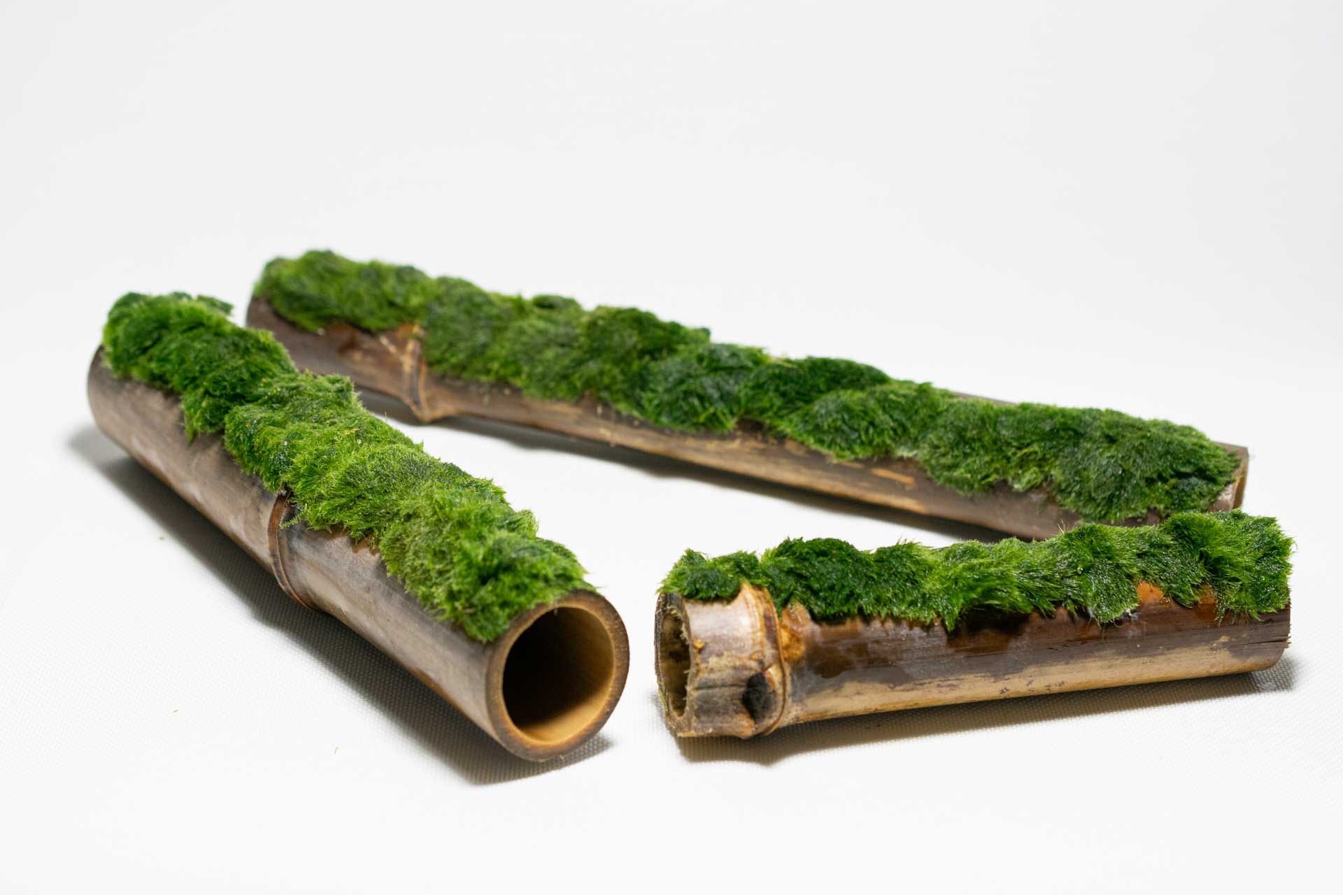 Diseño Bamboo Cladophora Slim details Bamboo Cladophora